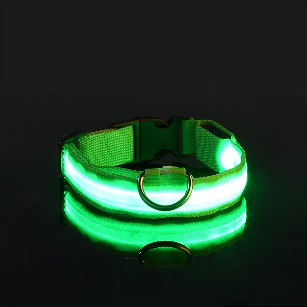 LED Night Safety Pet Leash