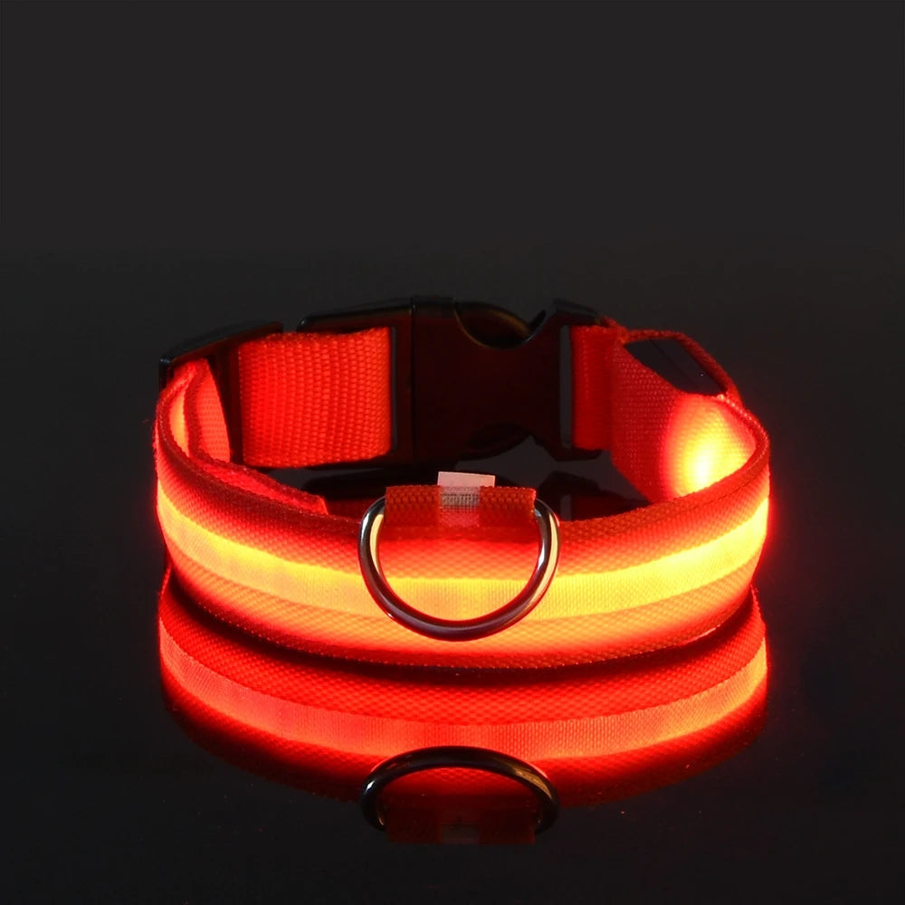 LED Night Safety Pet Leash