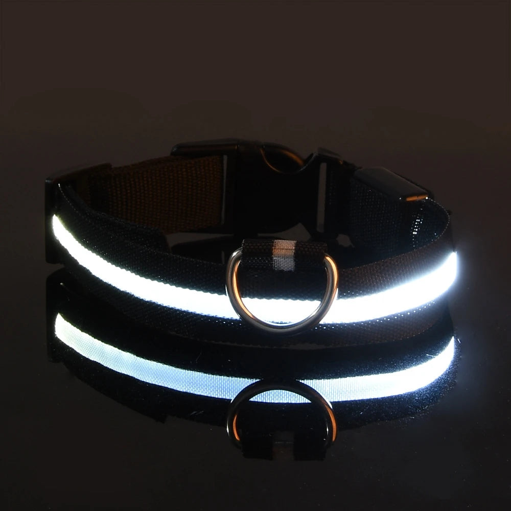 LED Night Safety Pet Leash