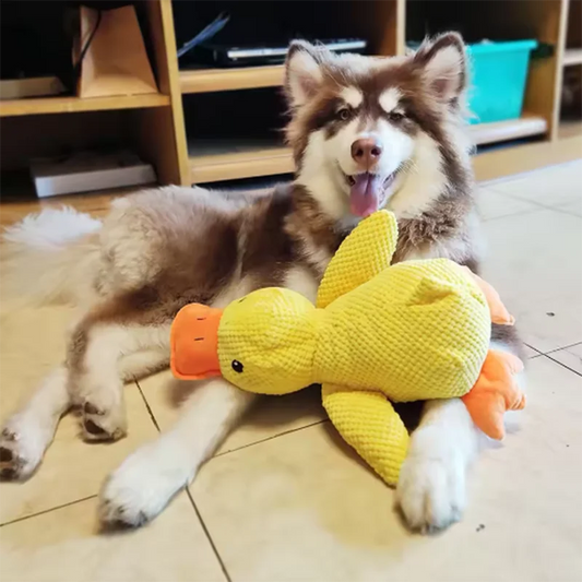 Squeaky Duck Plush Toy for Pets