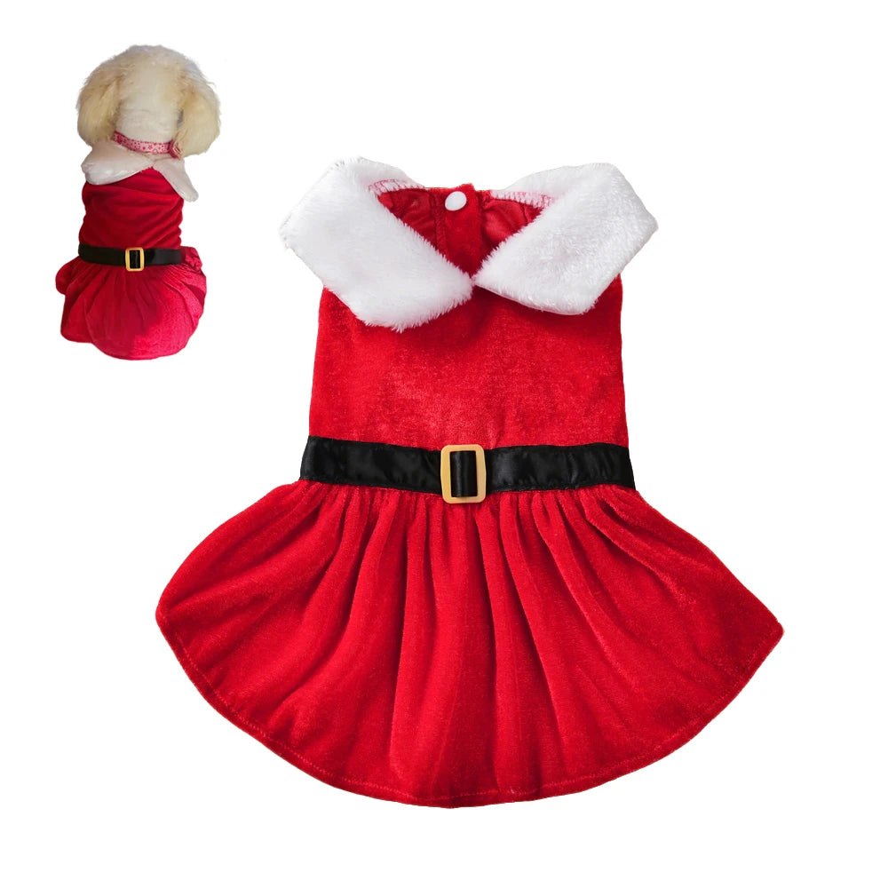 Santa Pet Outfit