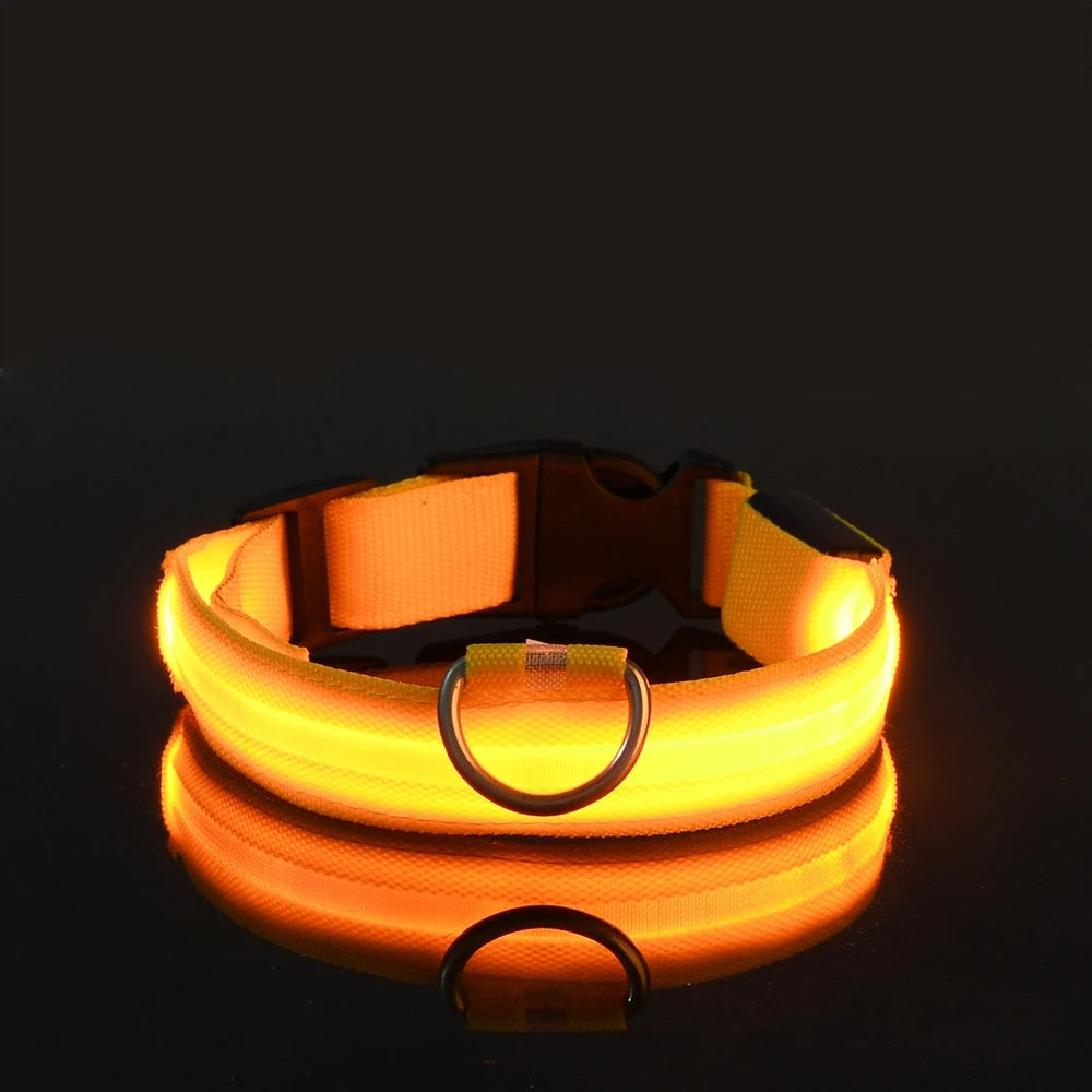 LED Night Safety Pet Leash