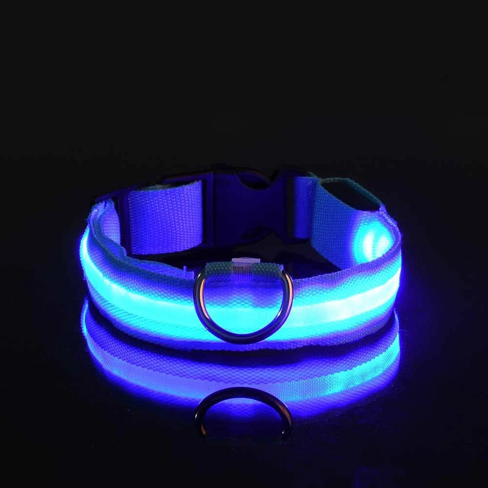 LED Night Safety Pet Leash