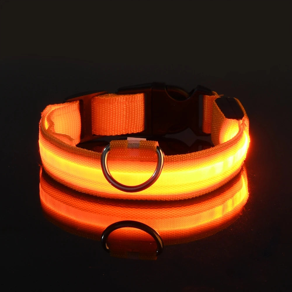 LED Night Safety Pet Leash