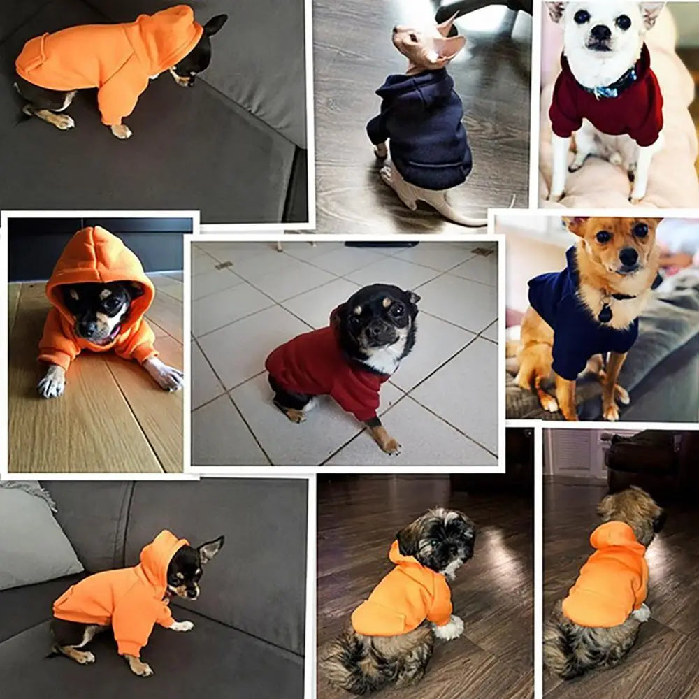 Cozy Winter Dog Hoodie