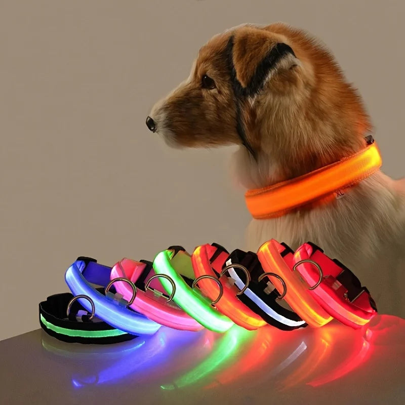 LED Night Safety Pet Leash