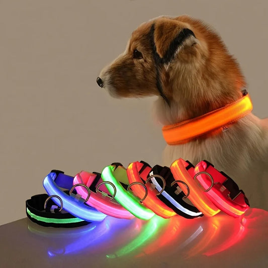 LED Night Safety Pet Leash