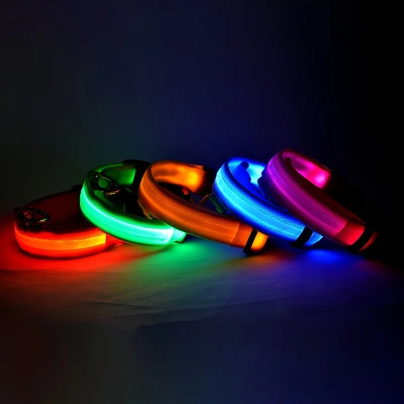 LED Night Safety Pet Leash