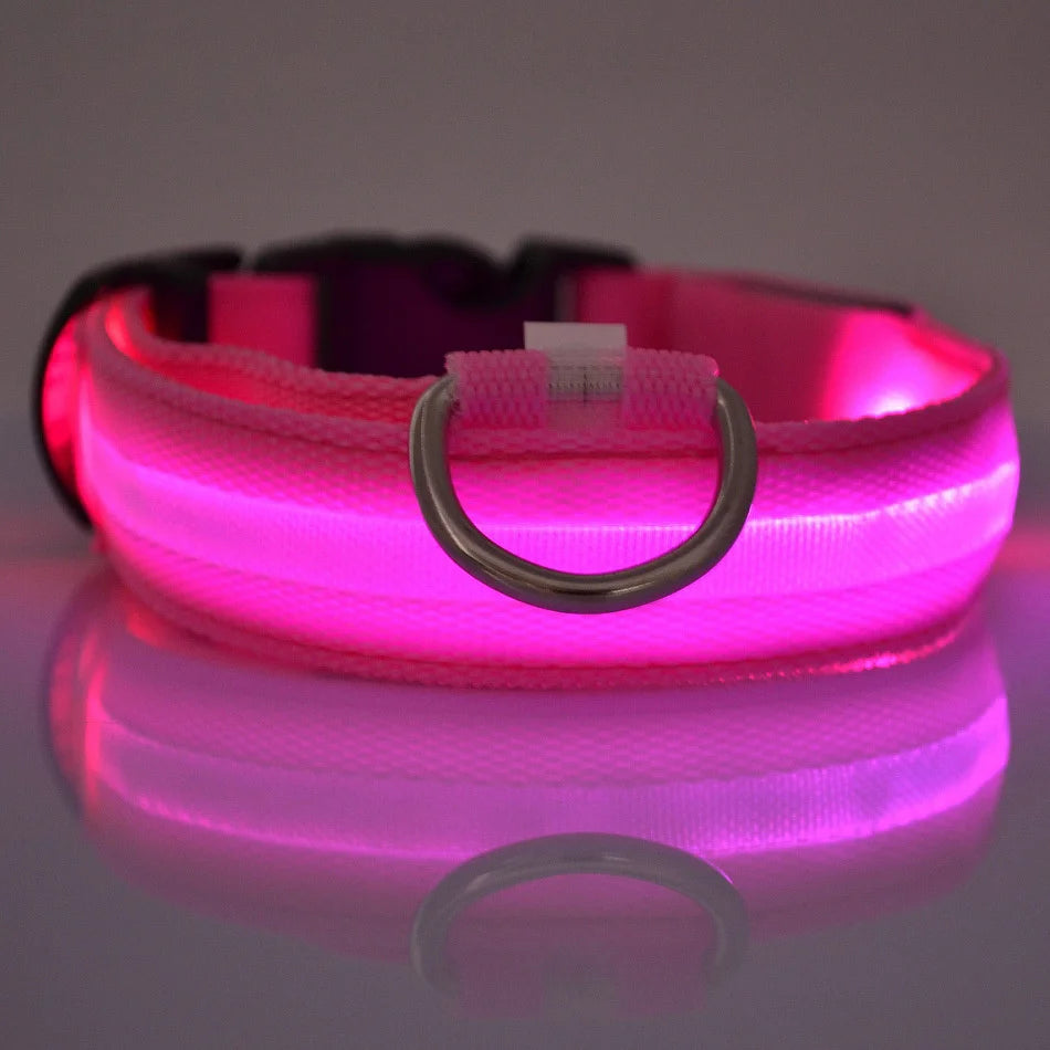 LED Night Safety Pet Leash