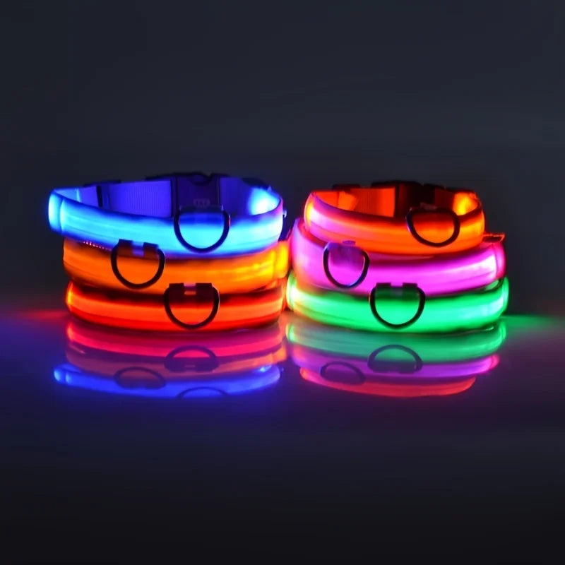 LED Night Safety Pet Leash