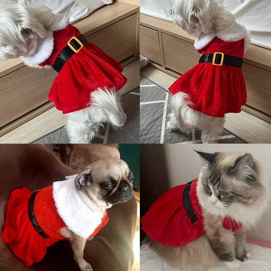 Santa Pet Outfit