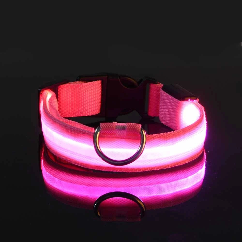 LED Night Safety Pet Leash