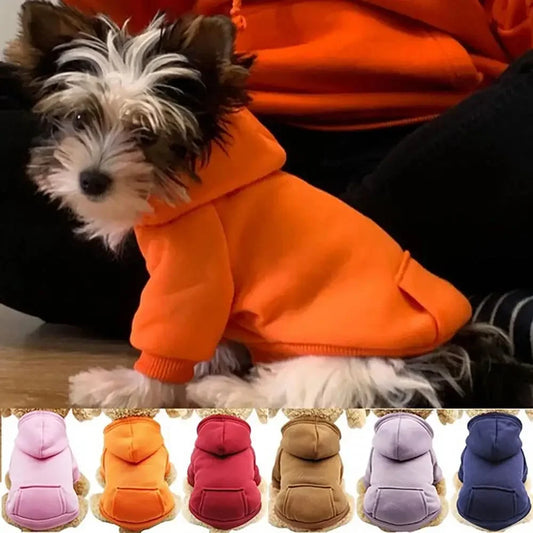 Cozy Winter Dog Hoodie