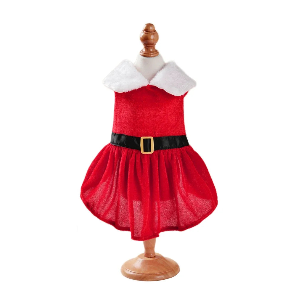Santa Pet Outfit